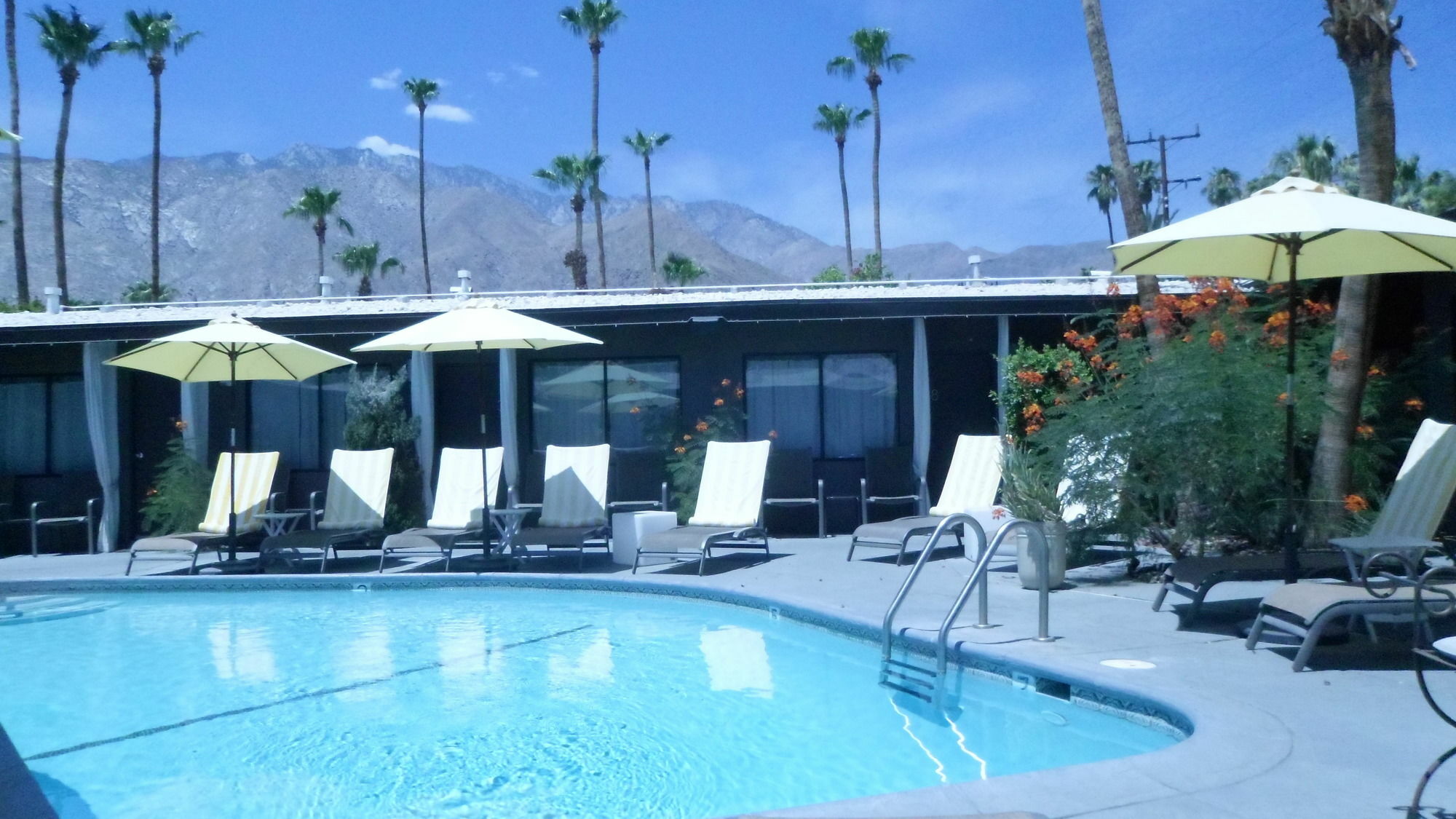 Avanti Hotel Palm Springs Exteriér fotografie
