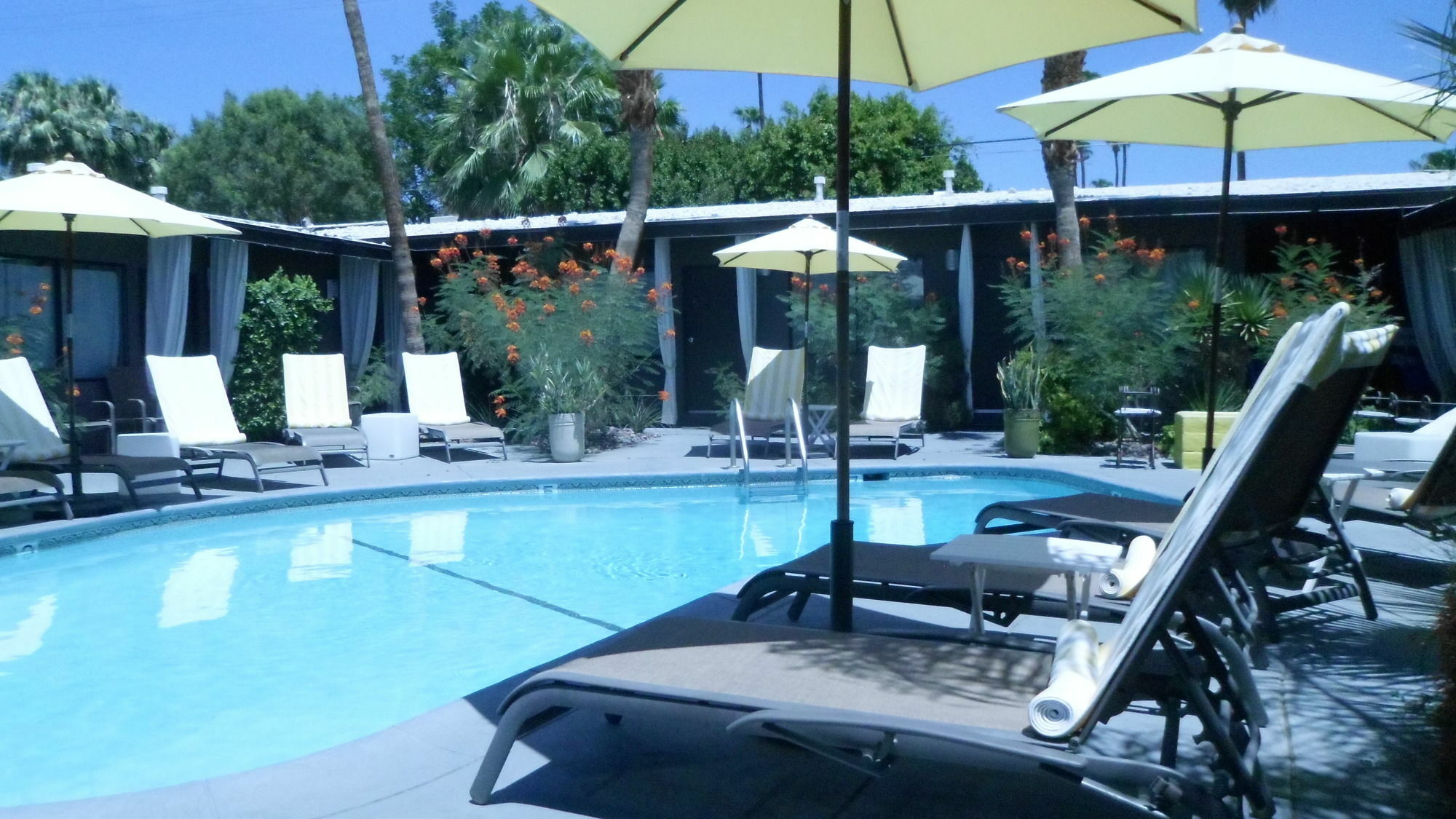 Avanti Hotel Palm Springs Exteriér fotografie
