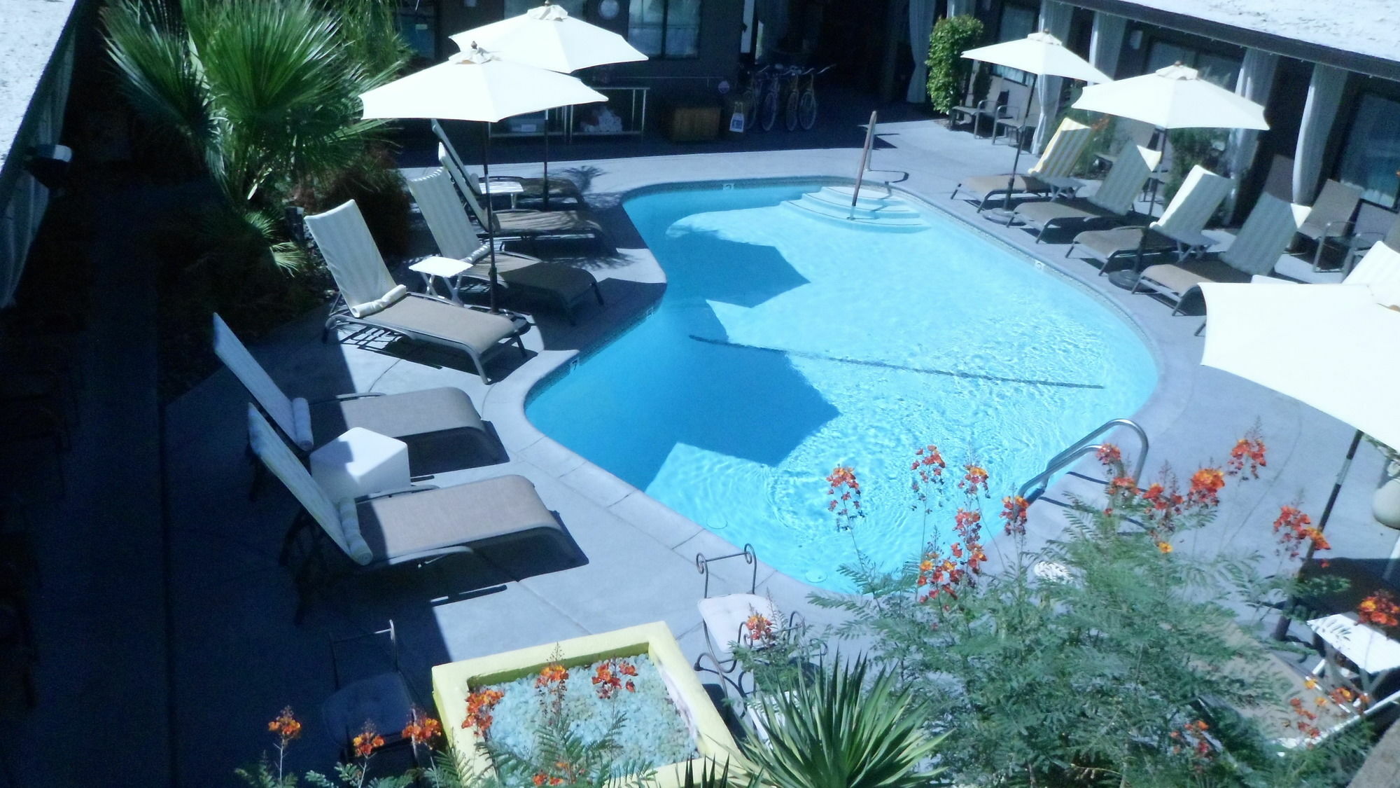 Avanti Hotel Palm Springs Exteriér fotografie