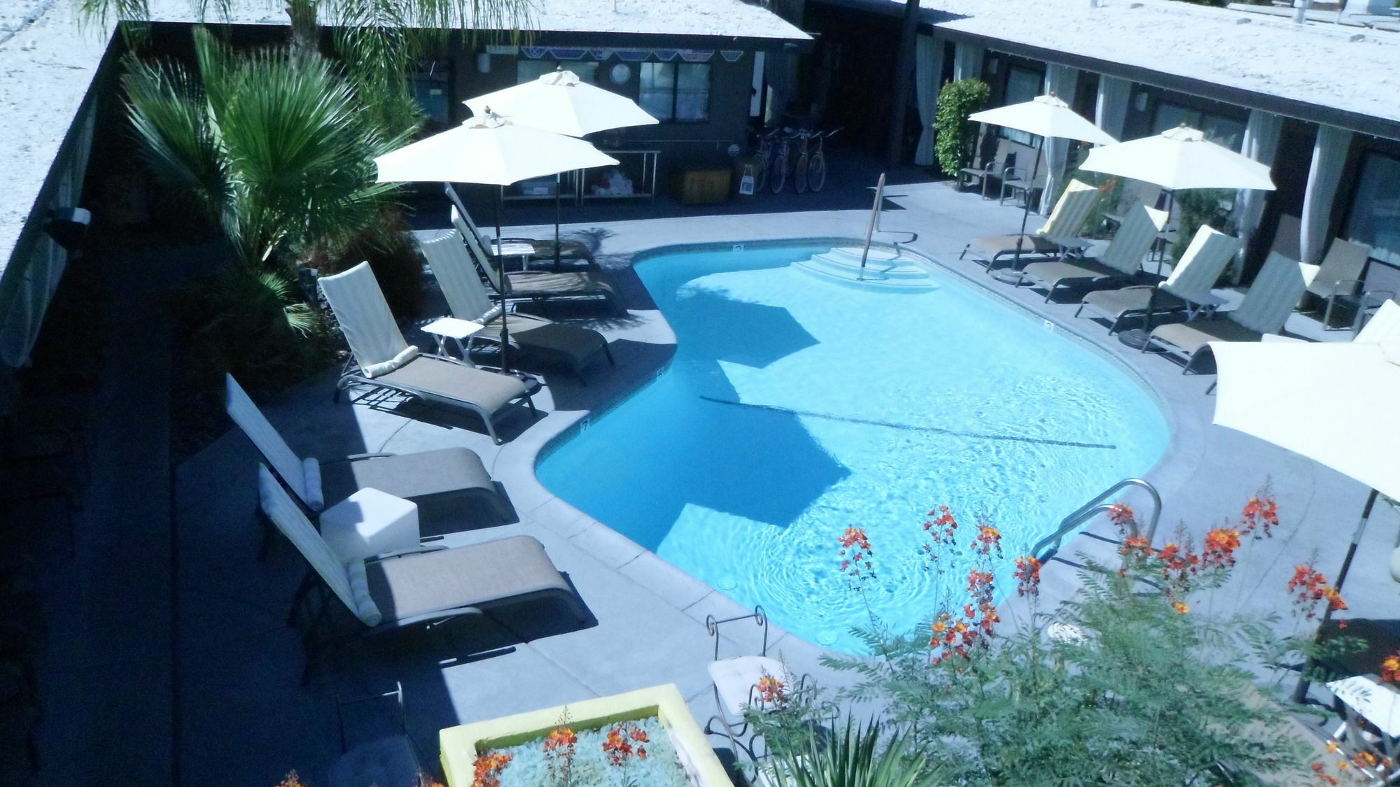 Avanti Hotel Palm Springs Exteriér fotografie
